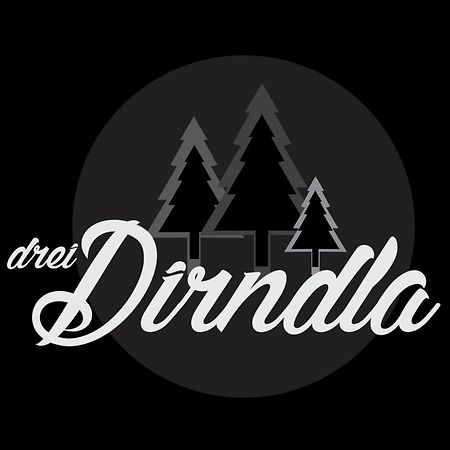Drei Dirndla Διαμέρισμα Schladming Εξωτερικό φωτογραφία